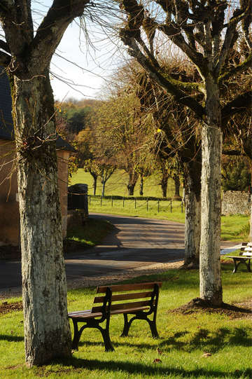 Image bench in the park