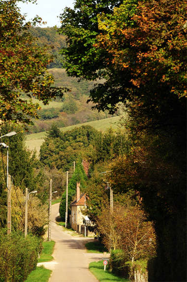 Afbeelding weg in het landschap