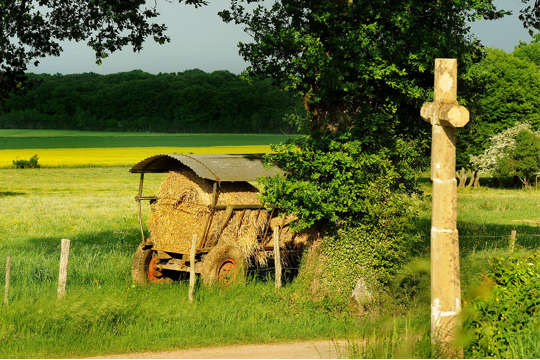 Image landscape with hay-wagon